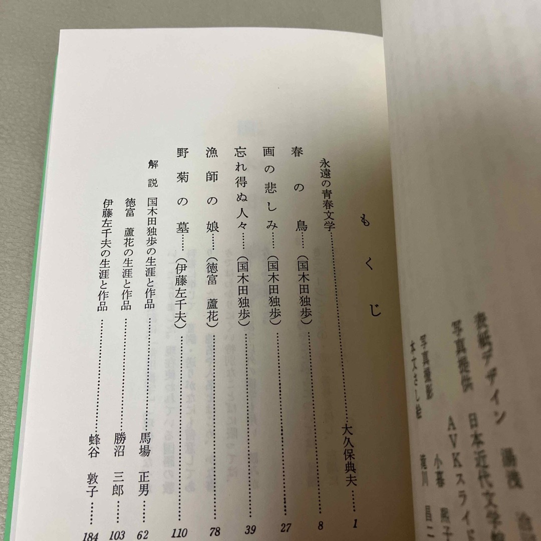 野菊の墓　忘れ得ぬ人々　ルナール　明治図書　文庫　新書 エンタメ/ホビーの本(文学/小説)の商品写真