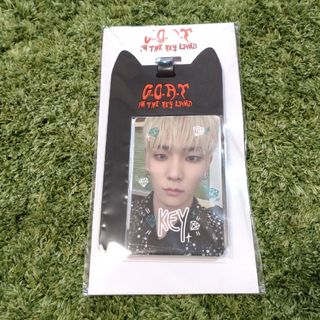 シャイニー(SHINee)のSHINEE G.O.A.T KEYLAND ラゲッジタグ 未開封品(アイドルグッズ)