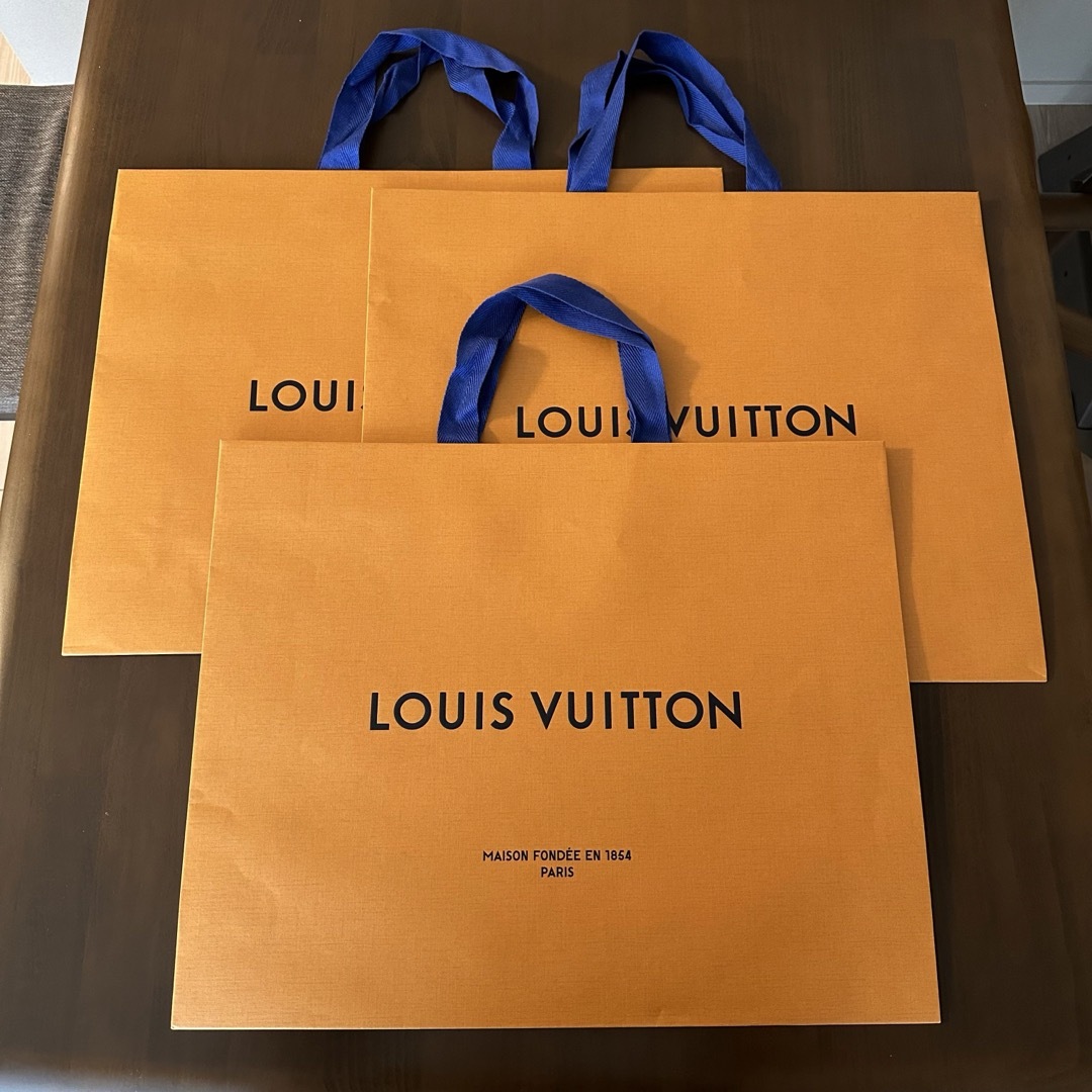 LOUIS VUITTON(ルイヴィトン)のルイヴィトン　ショッパー　紙袋　6枚セット　LOUIS VUITTON レディースのバッグ(ショップ袋)の商品写真