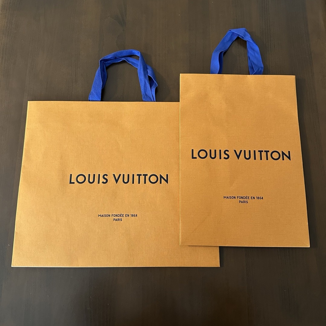 LOUIS VUITTON(ルイヴィトン)のルイヴィトン　ショッパー　紙袋　6枚セット　LOUIS VUITTON レディースのバッグ(ショップ袋)の商品写真