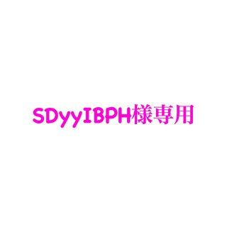 SDyyIBPH様専用(ペットフード)