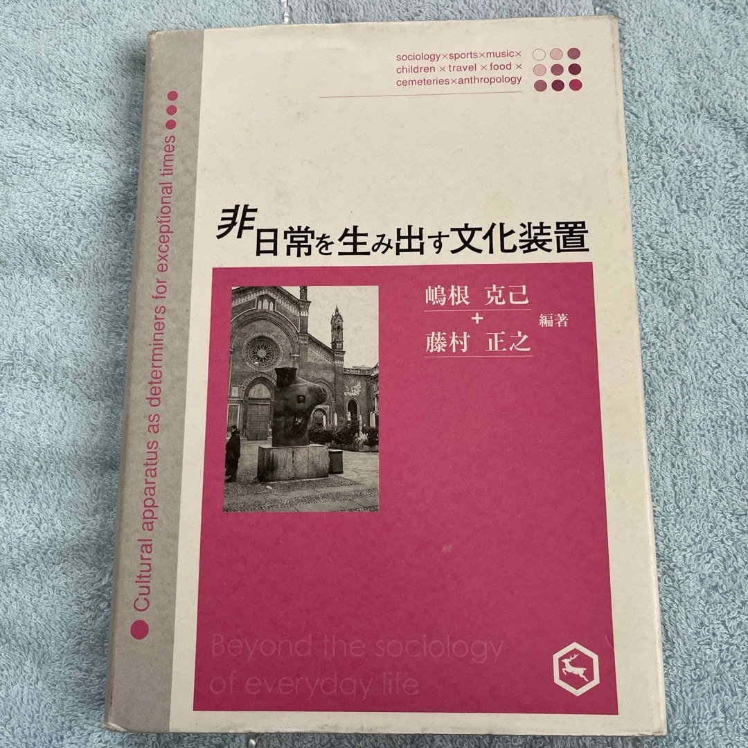 ⭐︎非日常を生み出す文化装置 エンタメ/ホビーの本(人文/社会)の商品写真