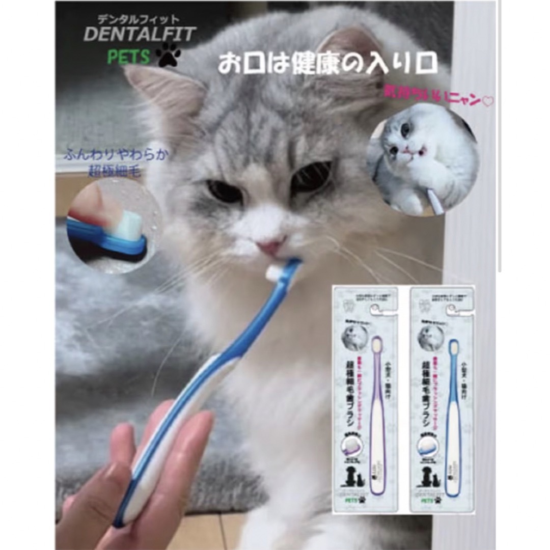 デンタルフィット　PETS  ペット用 小型犬・猫向け 超極細毛歯ブラシ 紫1本 その他のペット用品(犬)の商品写真