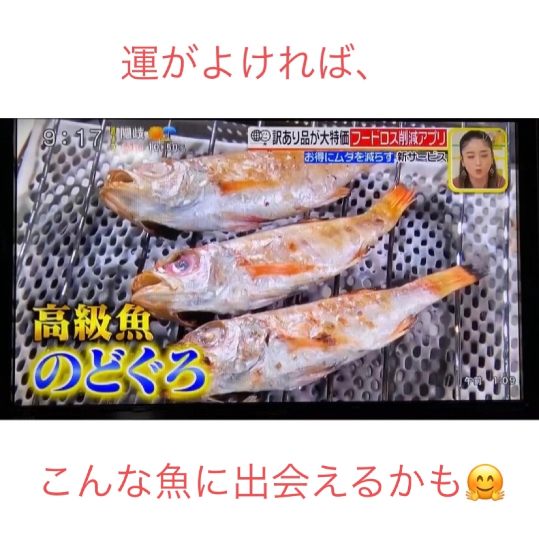 干物屋のまかない🐟訳ありだらけのボリュームセット16袋入り 食品/飲料/酒の食品(魚介)の商品写真