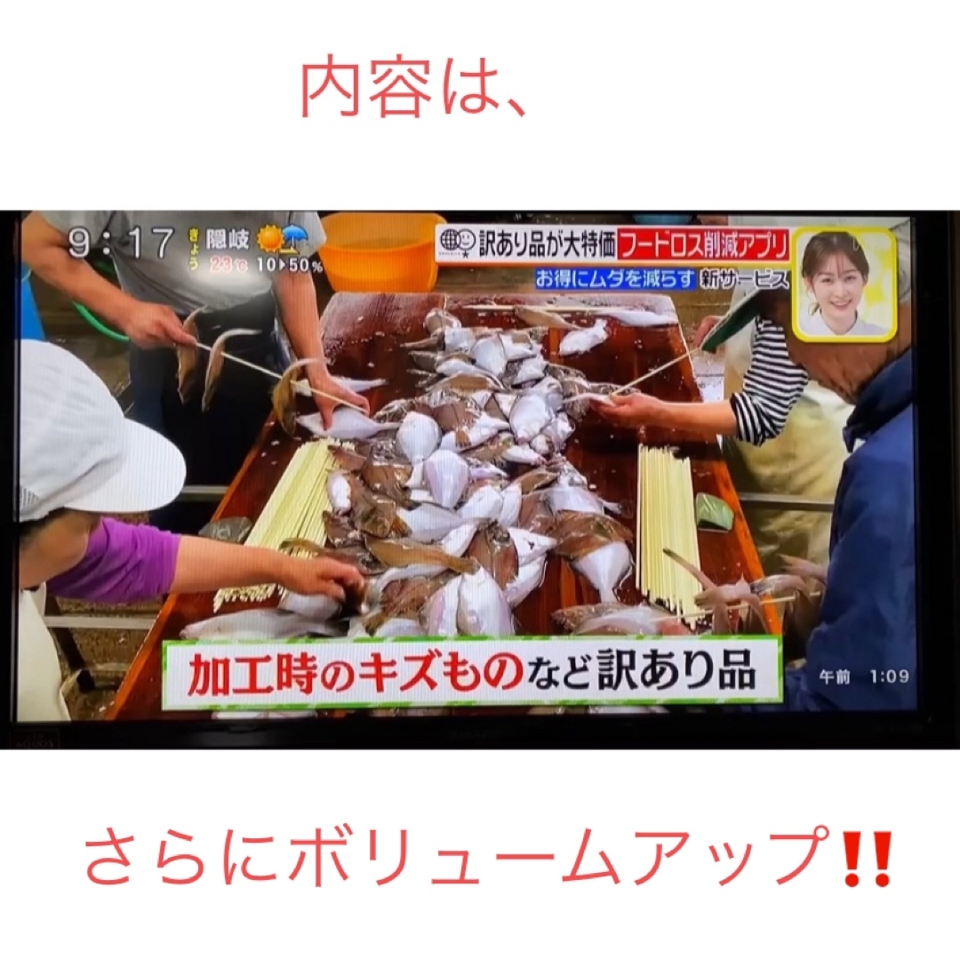 干物屋のまかない🐟訳ありだらけのボリュームセット16袋入り 食品/飲料/酒の食品(魚介)の商品写真