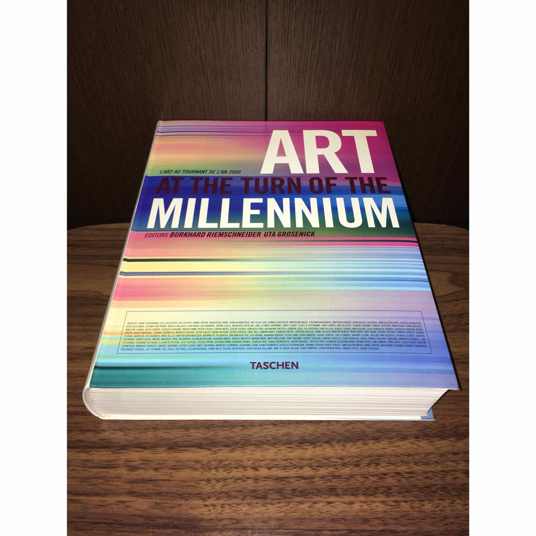 Art at the Turn of the Millennium　アート 洋書 エンタメ/ホビーの本(アート/エンタメ)の商品写真