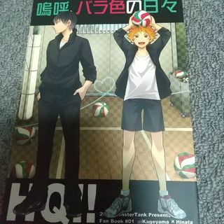 ハイキュー!! 同人誌65(一般)