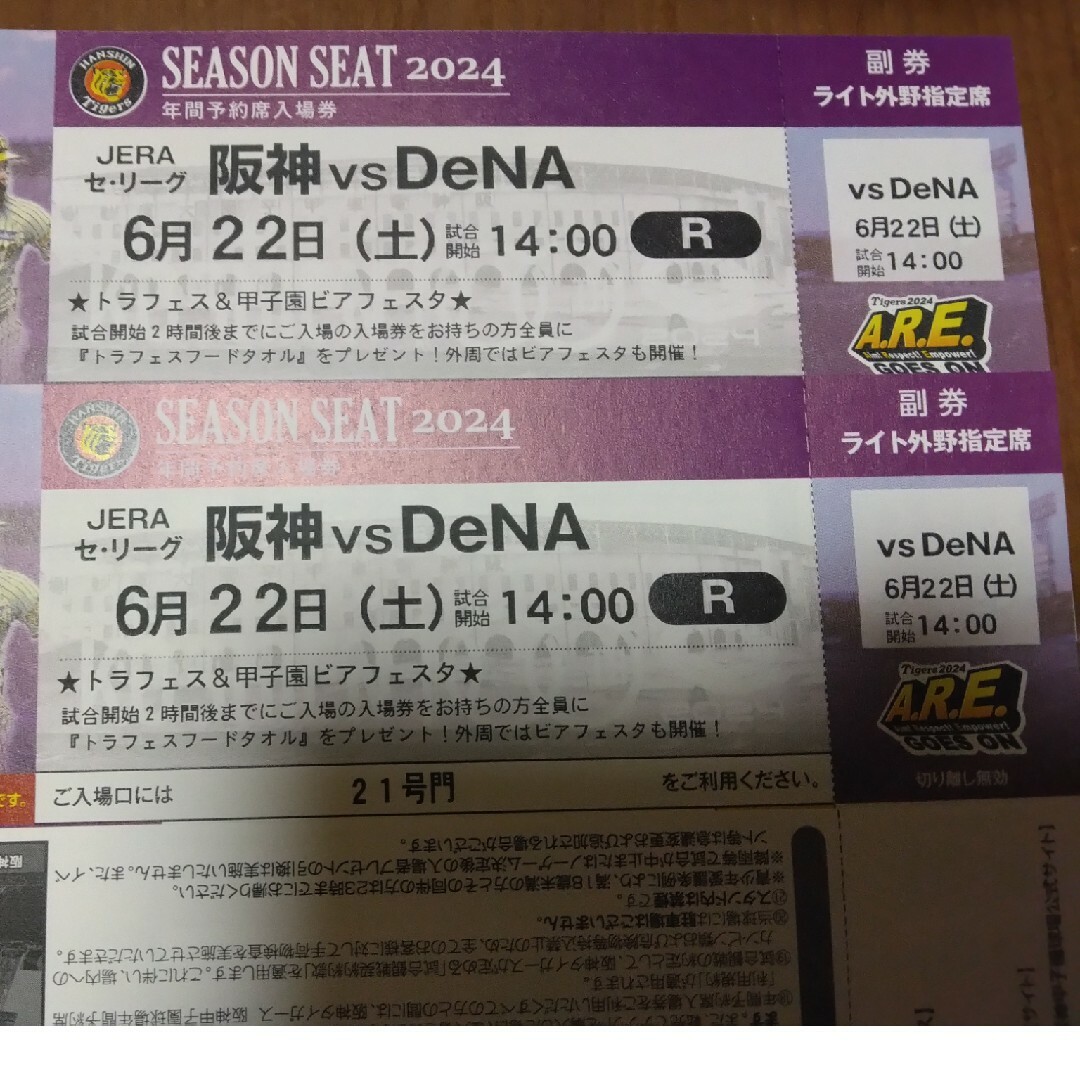 阪神タイガース(ハンシンタイガース)の6/21.22　ライト外野指定席ペアチケット（阪神vsDeNA2試合セット） チケットのスポーツ(野球)の商品写真
