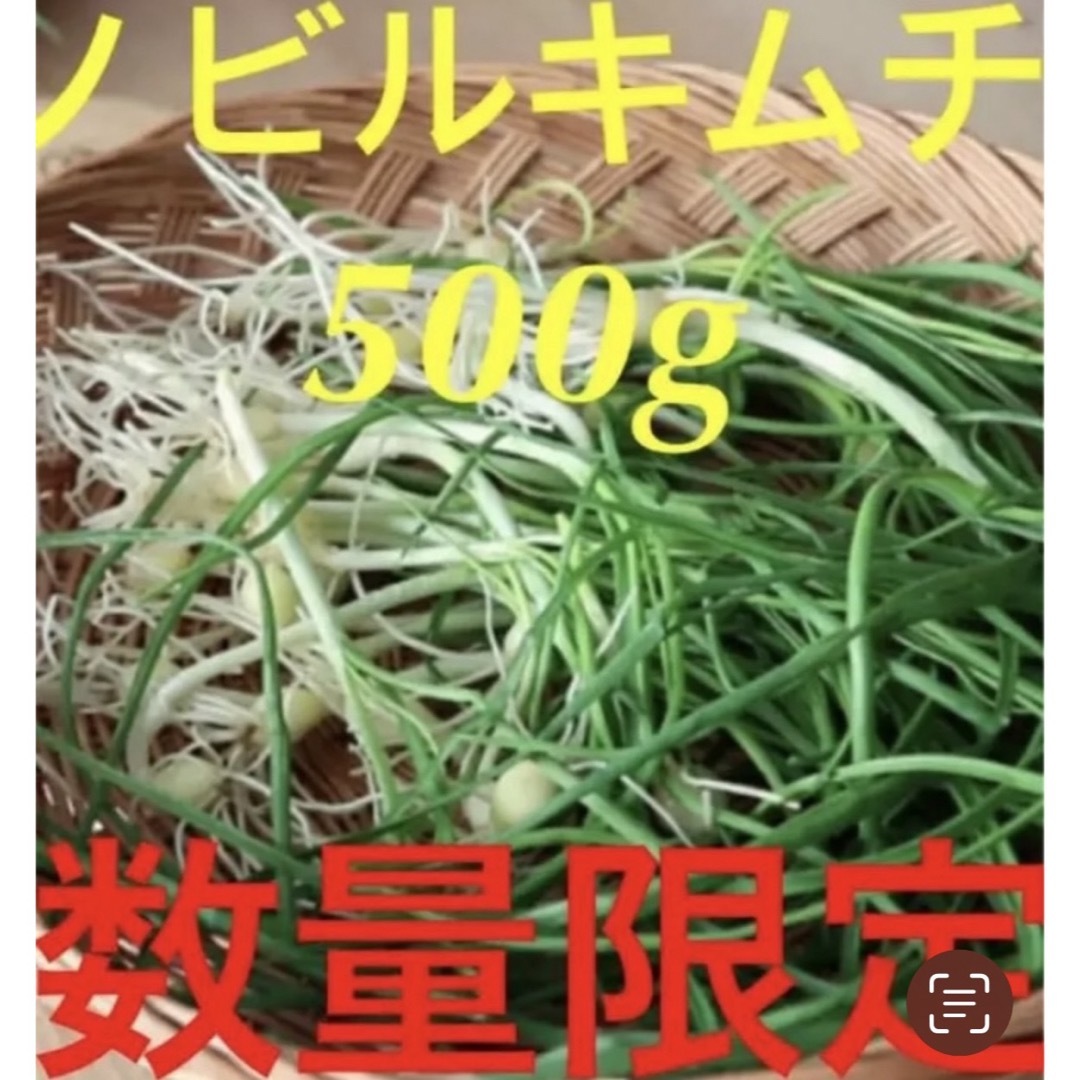 ノビルキムチ500g 食品/飲料/酒の食品(野菜)の商品写真