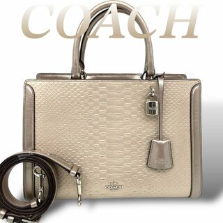 コーチ(COACH)のCOACH レアモデル 2way パイソン柄 自立 ハンドバッグ 6323(ショルダーバッグ)