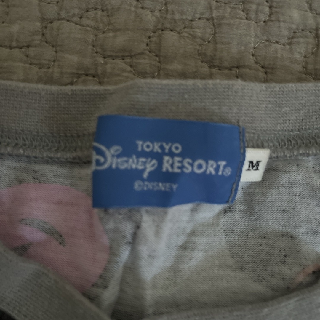 Disney(ディズニー)のディズニー　Ｔシャツ メンズのトップス(Tシャツ/カットソー(半袖/袖なし))の商品写真