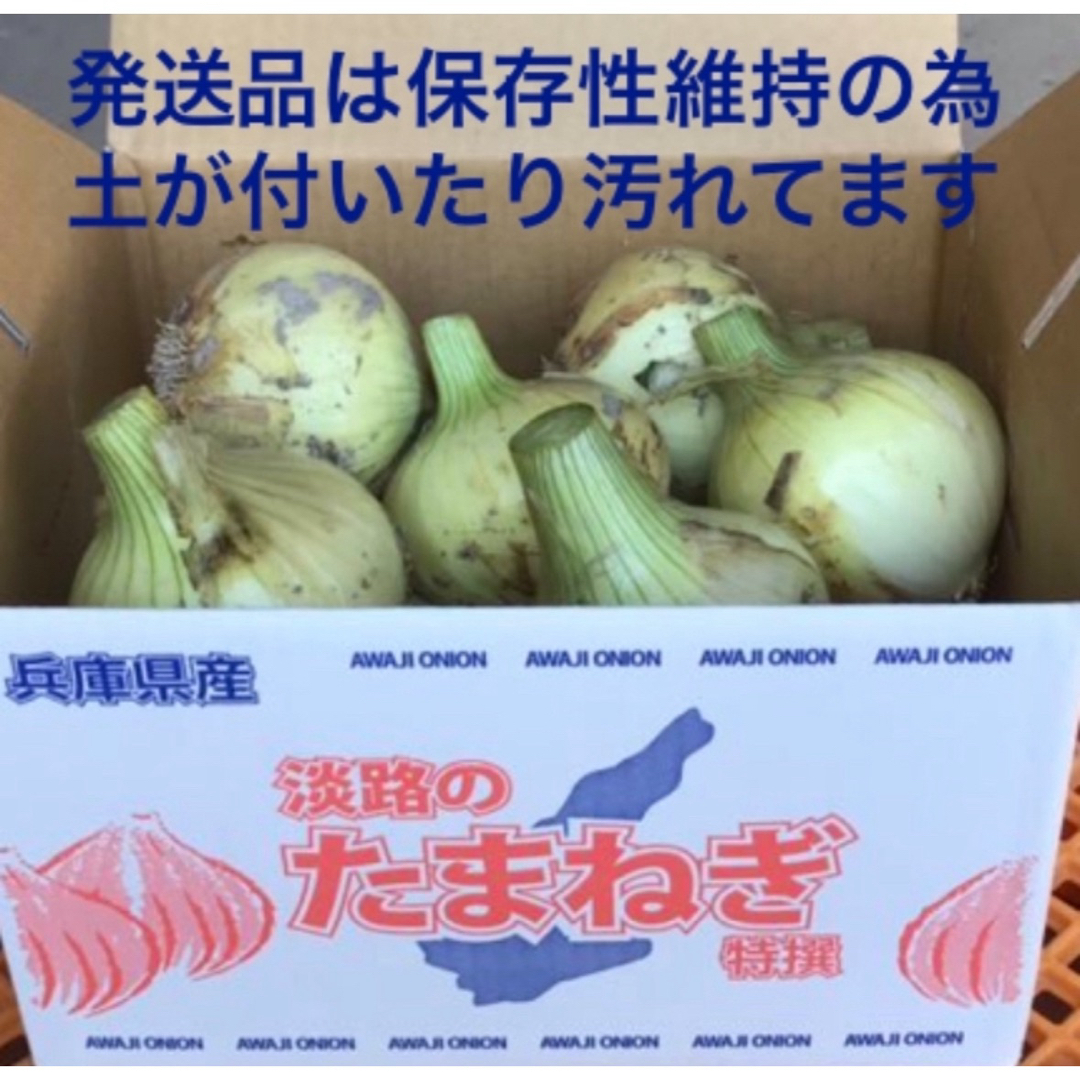 ＜スーパーセール＞淡路島産新玉ねぎ 3kg×2箱 高糖度 新たまねぎ 新玉葱 食品/飲料/酒の食品(野菜)の商品写真