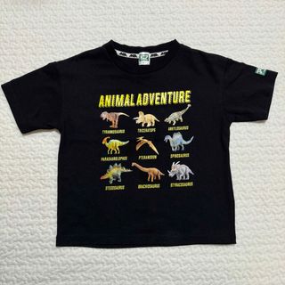 バースデイ(バースデイ)のアニア　アニマルアドベンチャー　Tシャツ　トップス　(Tシャツ/カットソー)