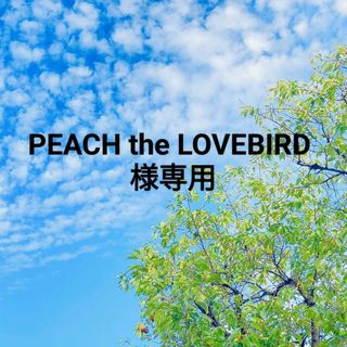 ザセム(the saem)のPEACH the LOVEBIRD 様専用(コンシーラー)