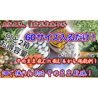 農家自家製お任せ乾燥野菜　60サイズ入るだけ発送2箱セット破格！期間限定値下げ(乾物)