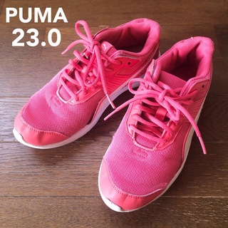 PUMA - 【PUMA】プーマ　190325  ジュニア　メッシュ　スニーカー　靴紐タイプ