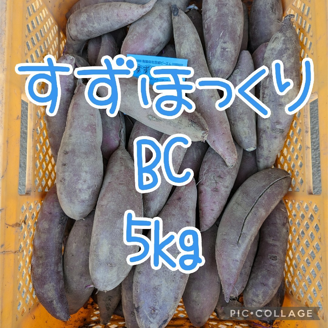 すずほっくりBC5kg 食品/飲料/酒の食品(野菜)の商品写真