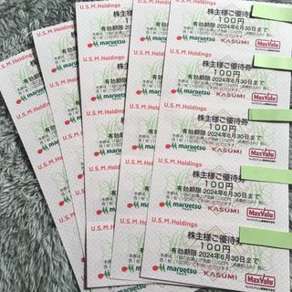 【最新】ユナイテッドスーパーマーケット 株主優待券 3000円分(ショッピング)