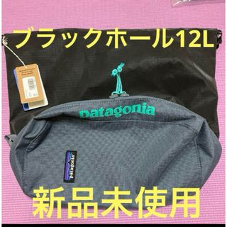 パタゴニア(patagonia)のパタゴニア ブラックホールキューブMLC12L patagonia(登山用品)