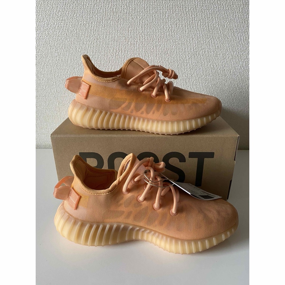 YEEZY（adidas）(イージー)のアディダス イージーブースト350 V2 "モノクレー" 新品　23cm メンズの靴/シューズ(スニーカー)の商品写真