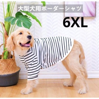 【ペット用】大型犬用犬服　優しいシンプル　ボーダーシャツ　6XL(犬)