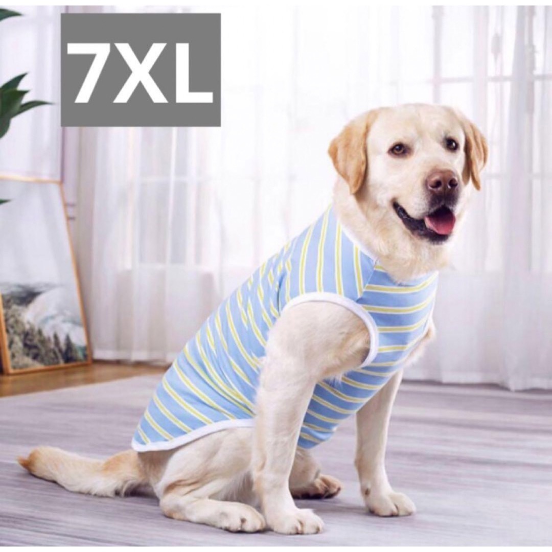 【ペット用】大型犬用犬服　大きめボーダー柄タンクトップ　ブルー　7XL その他のペット用品(犬)の商品写真