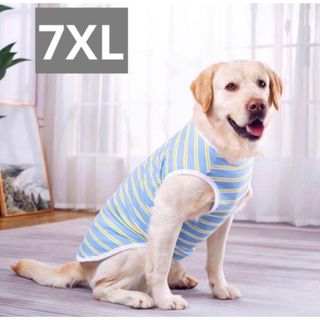 【ペット用】大型犬用犬服　大きめボーダー柄タンクトップ　ブルー　7XL(犬)