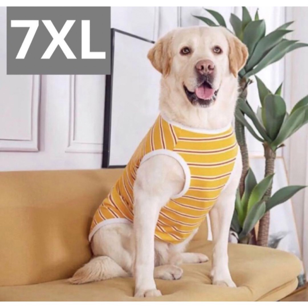 【ペット用】大型犬用犬服　大きめボーダー柄タンクトップ　イエロー　7XL その他のペット用品(犬)の商品写真