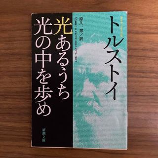 光あるうち光の中を歩め(文学/小説)