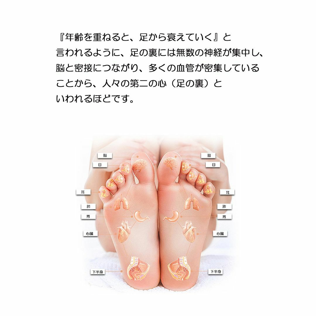 【レディース】足つぼマッサージ健康靴下　22.5～24.5ｃｍ レディースのレッグウェア(ソックス)の商品写真