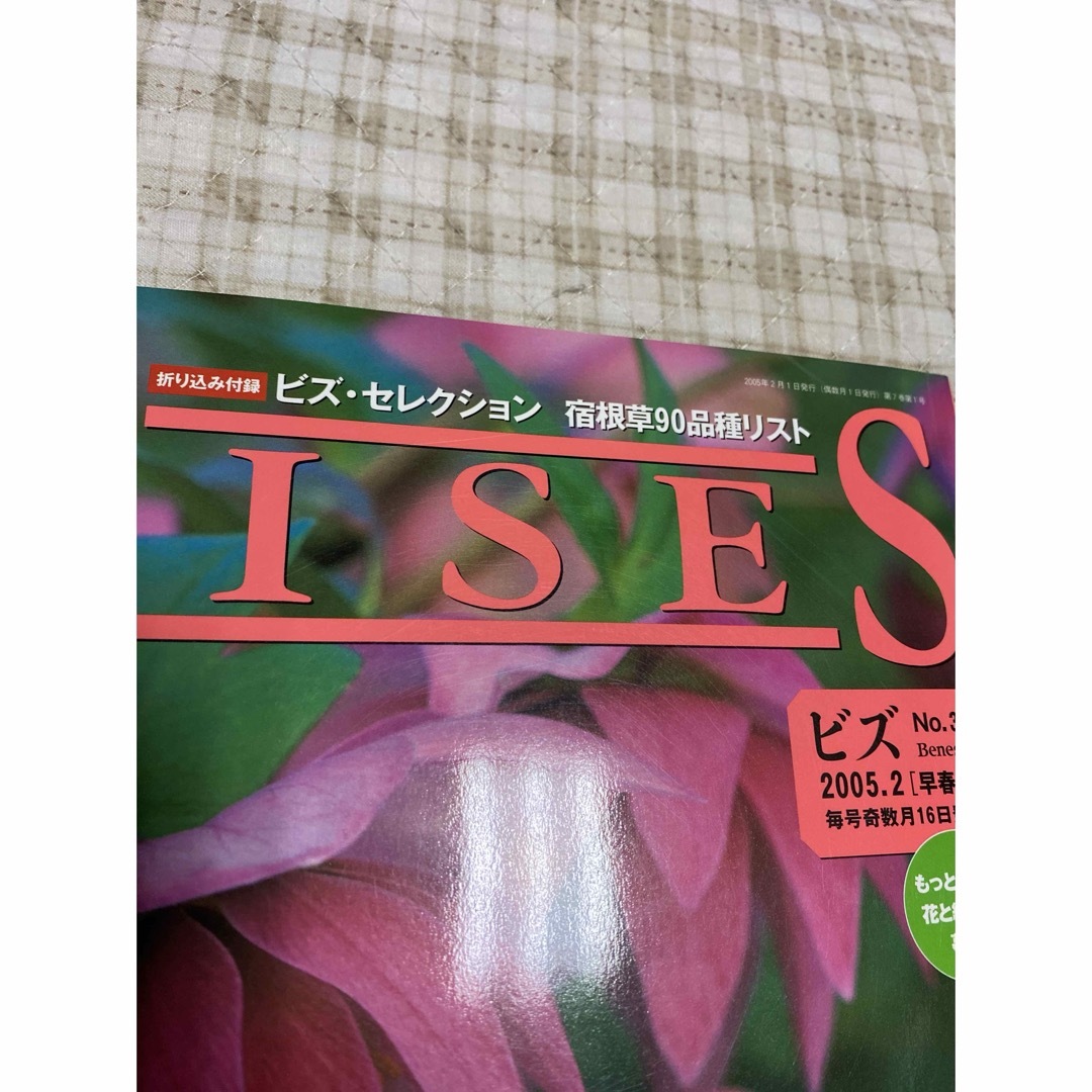 「BISES ビズ No.34 2005.2 早春号」 エンタメ/ホビーの本(趣味/スポーツ/実用)の商品写真