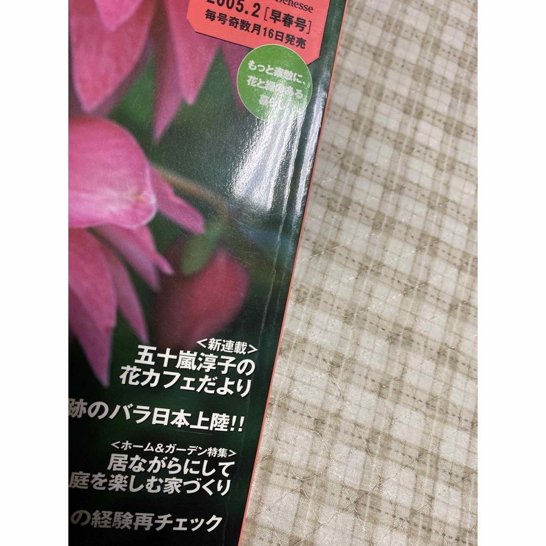 「BISES ビズ No.34 2005.2 早春号」 エンタメ/ホビーの本(趣味/スポーツ/実用)の商品写真