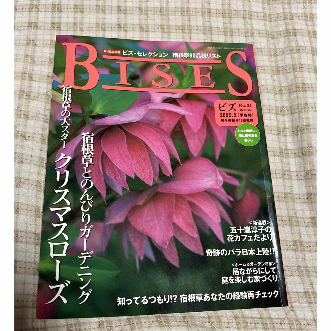 「BISES ビズ No.34 2005.2 早春号」 エンタメ/ホビーの本(趣味/スポーツ/実用)の商品写真