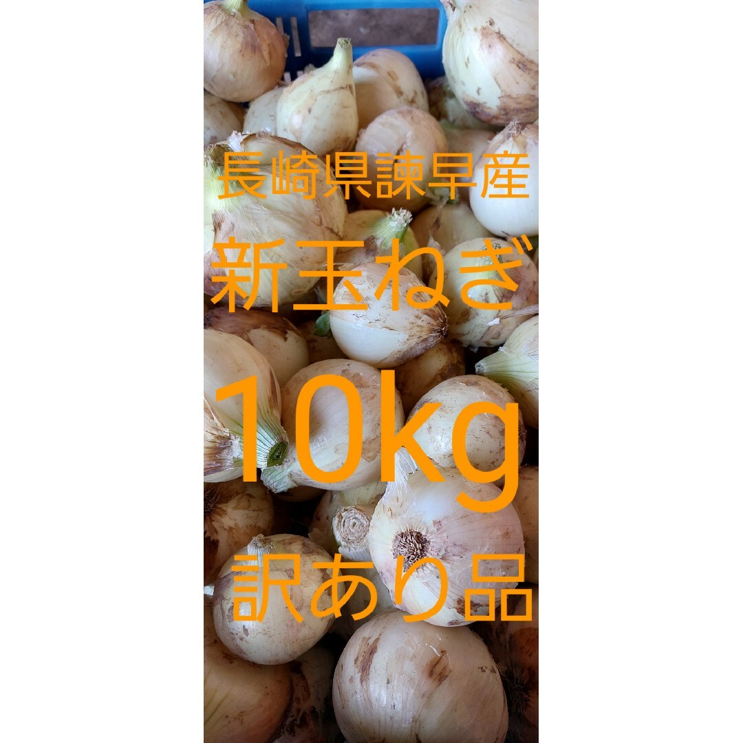 長崎県諫早産新玉ねぎ10kg訳あり品 食品/飲料/酒の食品(野菜)の商品写真