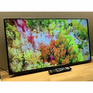 ほぼ新品！ドンキホーテ4Kテレビ 50インチ LE-5060TS4K-BKの通販 by 