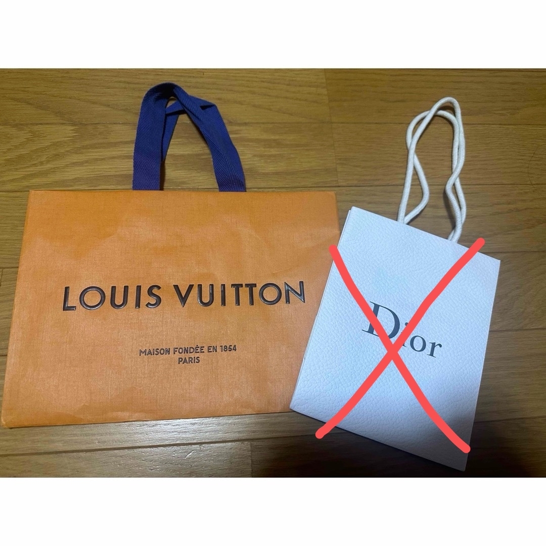 LOUIS VUITTON(ルイヴィトン)のLouis Vuittonルイヴィトン　DIOR ディオール　ショッパー レディースのバッグ(ショップ袋)の商品写真