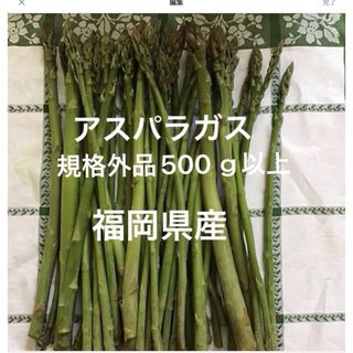 500グラム、　規格外品アスパラガス★福岡県産★(野菜)