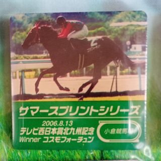 コスモフォーチュン　ピンバッジ　北九州記念　サマースプリントシリーズ　競馬　馬(その他)