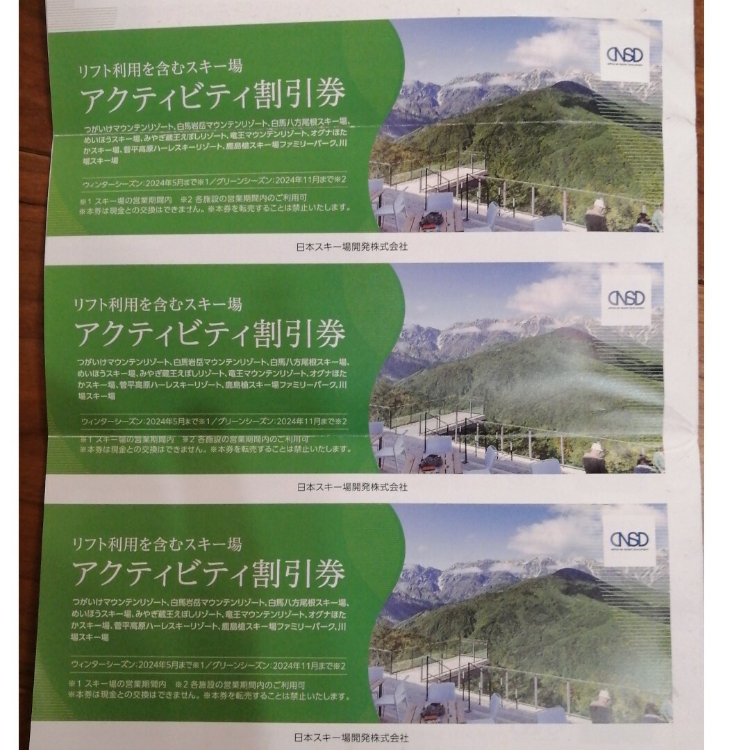 日本駐車場開発　アクティビティ割引券3枚　同梱100円 チケットの施設利用券(スキー場)の商品写真