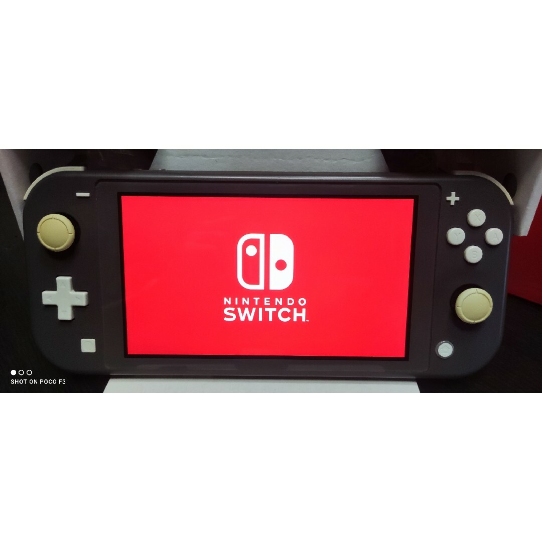 Nintendo Switch(ニンテンドースイッチ)のSwitch　lite エンタメ/ホビーのゲームソフト/ゲーム機本体(携帯用ゲーム機本体)の商品写真