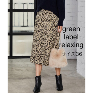 ユナイテッドアローズグリーンレーベルリラクシング(UNITED ARROWS green label relaxing)のgreen label relaxing ヒョウノータックスカート(ロングスカート)