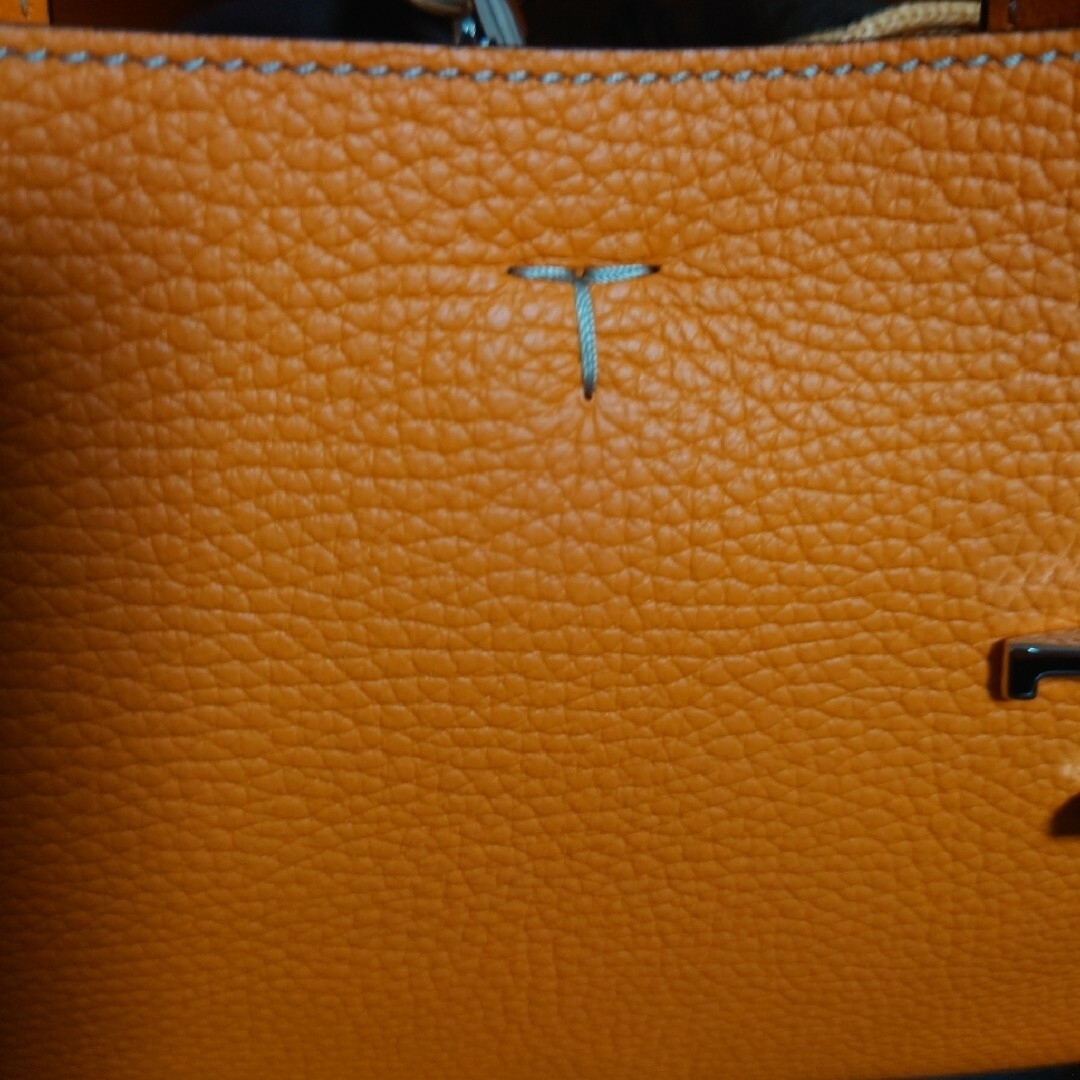 Ron Herman(ロンハーマン)の【新品】TOD’S  ロンハーマン Apa Sacca マイクロバッグ　オレンジ レディースのバッグ(トートバッグ)の商品写真
