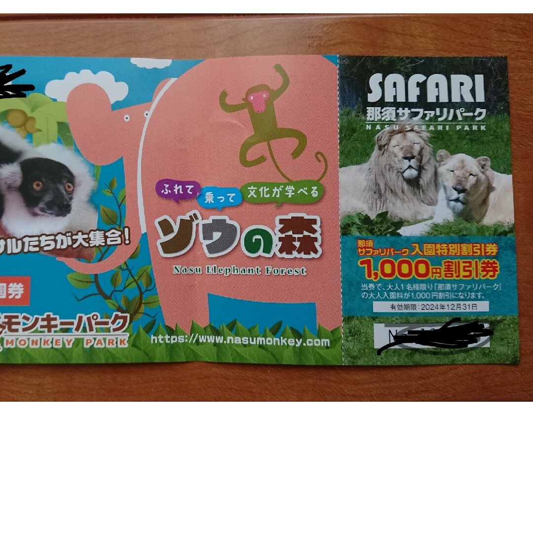 那須サファリパーク　入園特別割引券3枚セット 送料無料 チケットの施設利用券(動物園)の商品写真