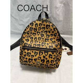 コーチ(COACH)の美品　COACH コーチ　ミニリュック　豹柄　レザー　バックパック　派手　お洒落(リュック/バックパック)