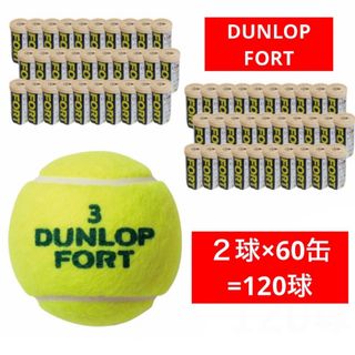 ダンロップ(DUNLOP)のDUNLOP FORT テニスボール ２球入 ２箱（60缶/120球)(ボール)