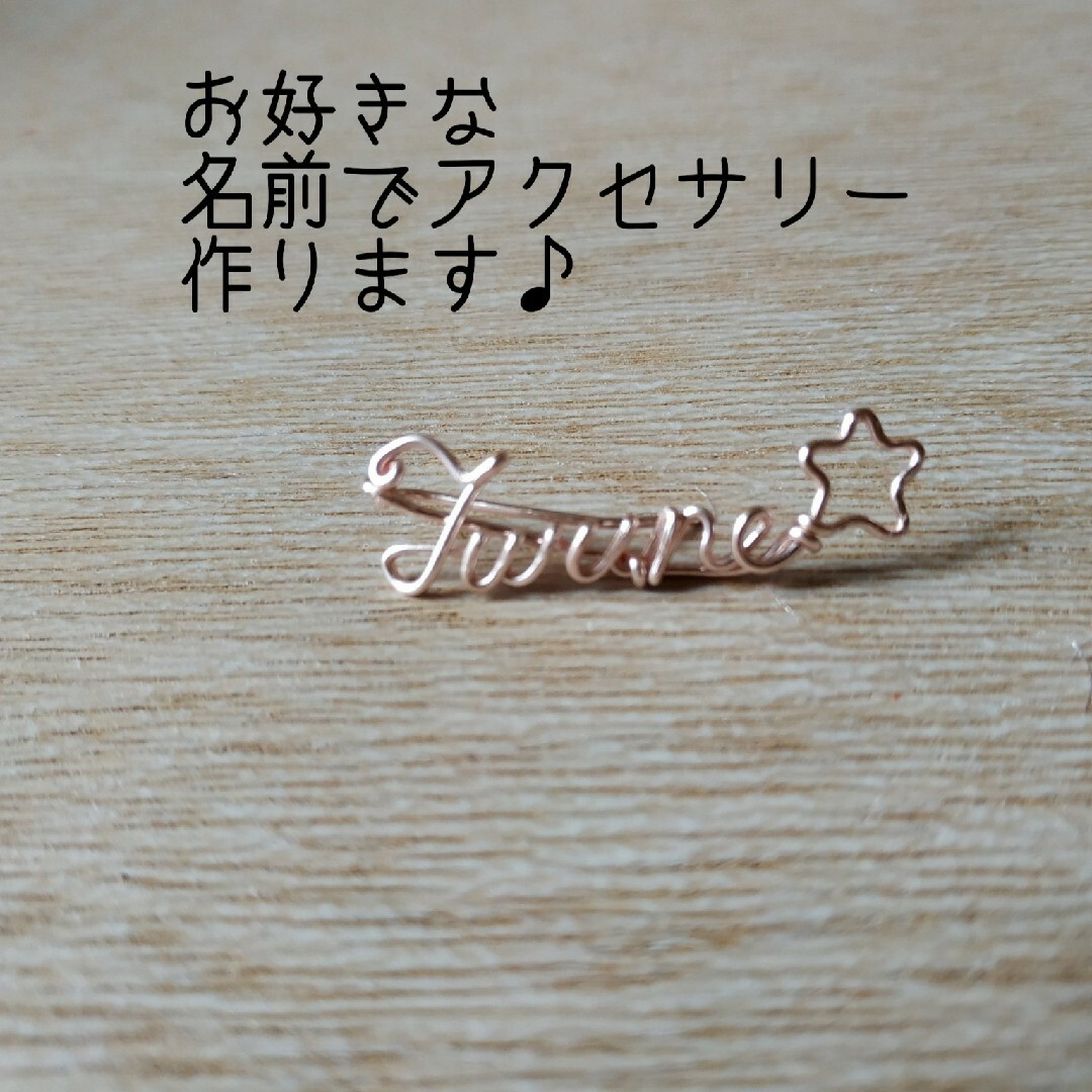 名前　ピアス　レディース　ペット　キッズ　タレント　コンサートグッズ エンタメ/ホビーのタレントグッズ(アイドルグッズ)の商品写真