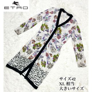 エトロ(ETRO)の【激レア】エトロ　ETRO  長袖　ワンピース　ドレス　42 XL(ひざ丈ワンピース)