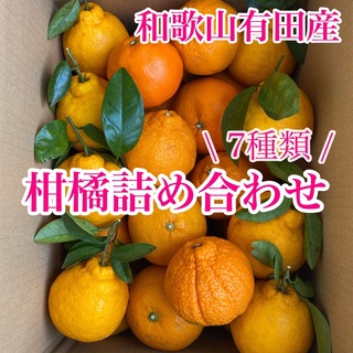 和歌山有田産　7種の柑橘詰め合わせ(フルーツ)