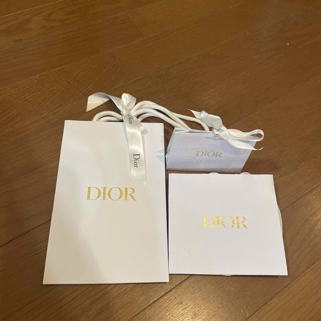 Dior(ディオール)のDIOR 紙袋 レディースのバッグ(ショップ袋)の商品写真