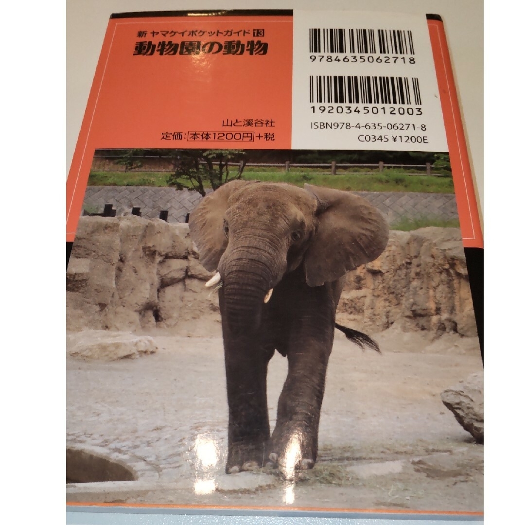 動物園の動物 エンタメ/ホビーの本(趣味/スポーツ/実用)の商品写真